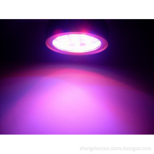 15w  LED GROW light  for your indoor garden